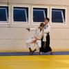 071_Mai_2026_Camus