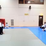 Stage enfants et adultes. Dreux  le 16/04/2011
