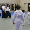 2008 stage-dac-aikido