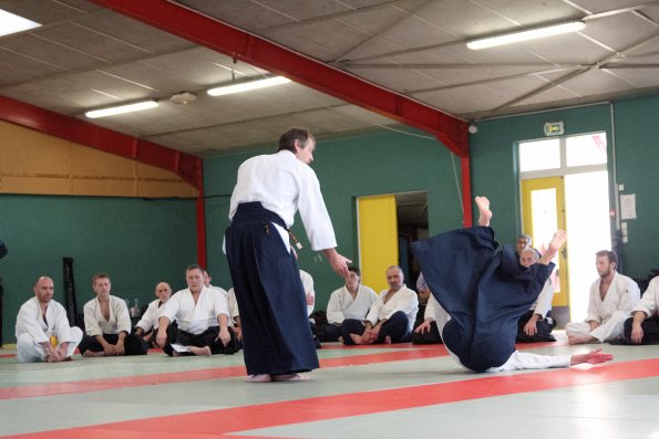 aikido-11