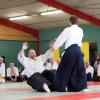 aikido-12