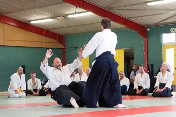 aikido-12