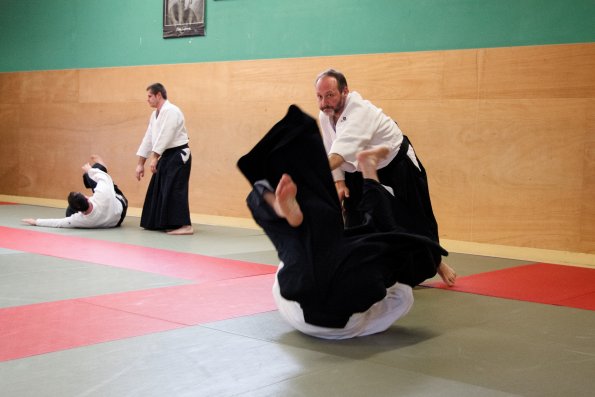 aikido-18