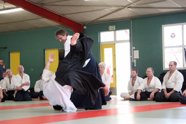 aikido-22