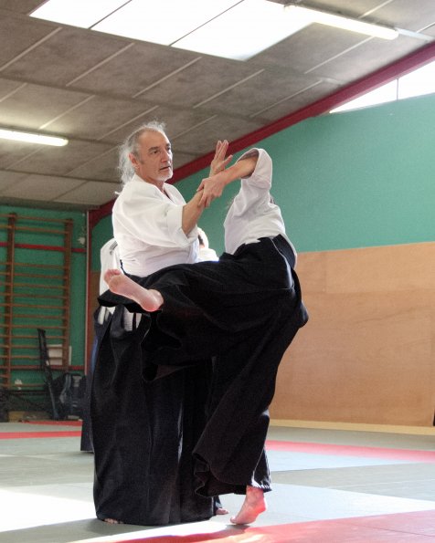 aikido-25