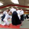 aikido-46