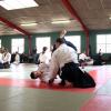 aikido-4