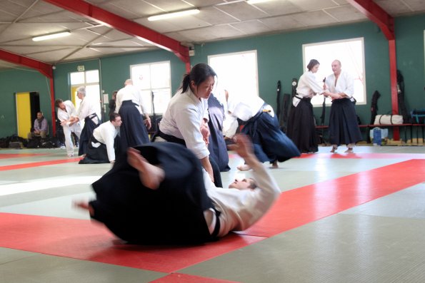 aikido-7